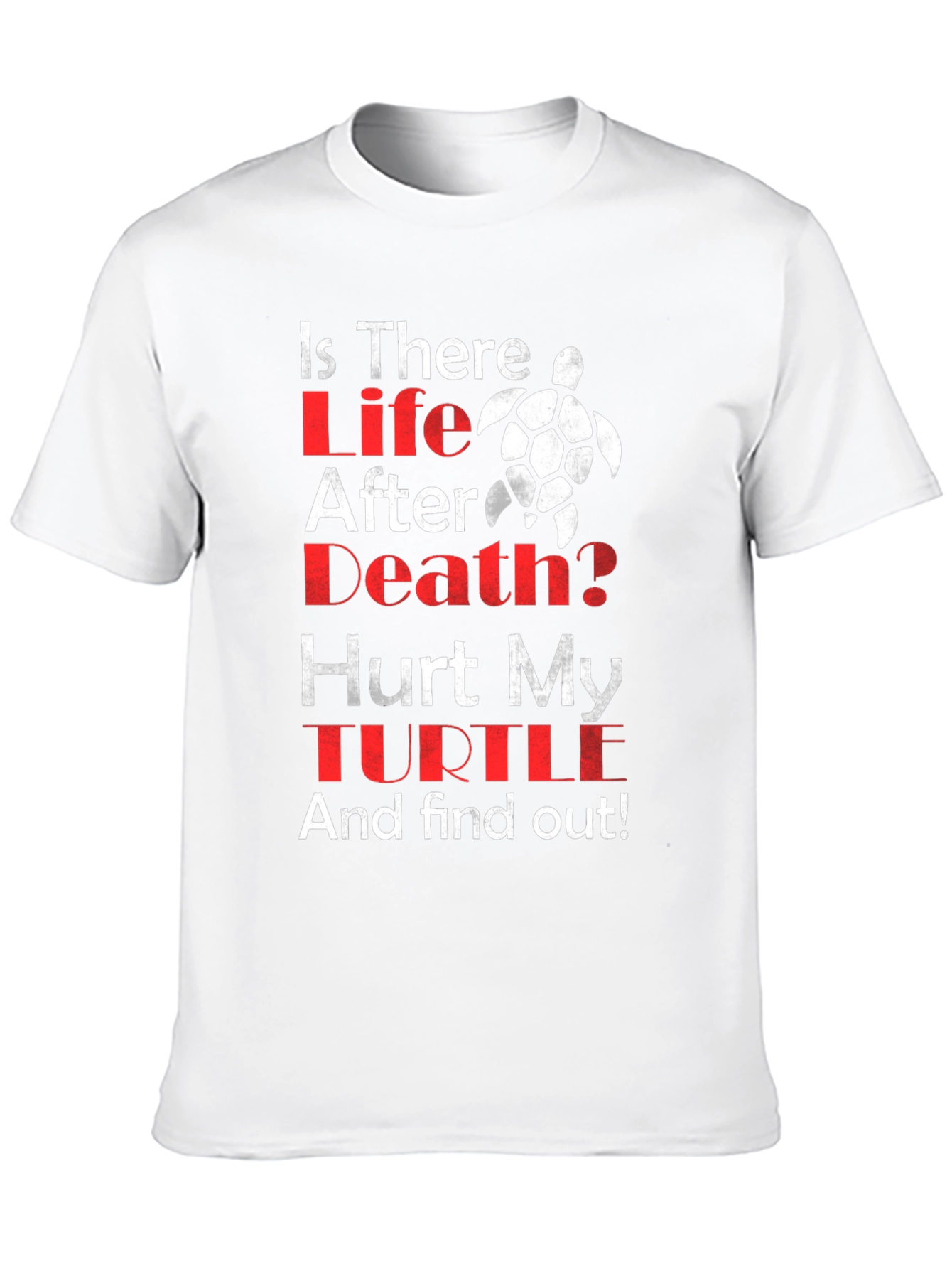 Is There Life After Death Turtle T-Shirt