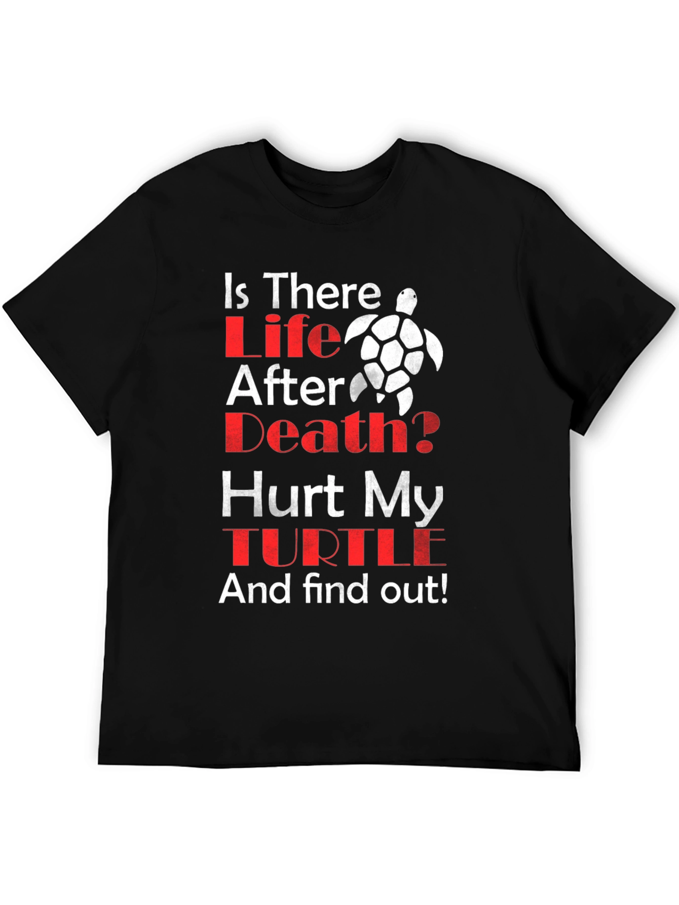 Is There Life After Death Turtle T-Shirt
