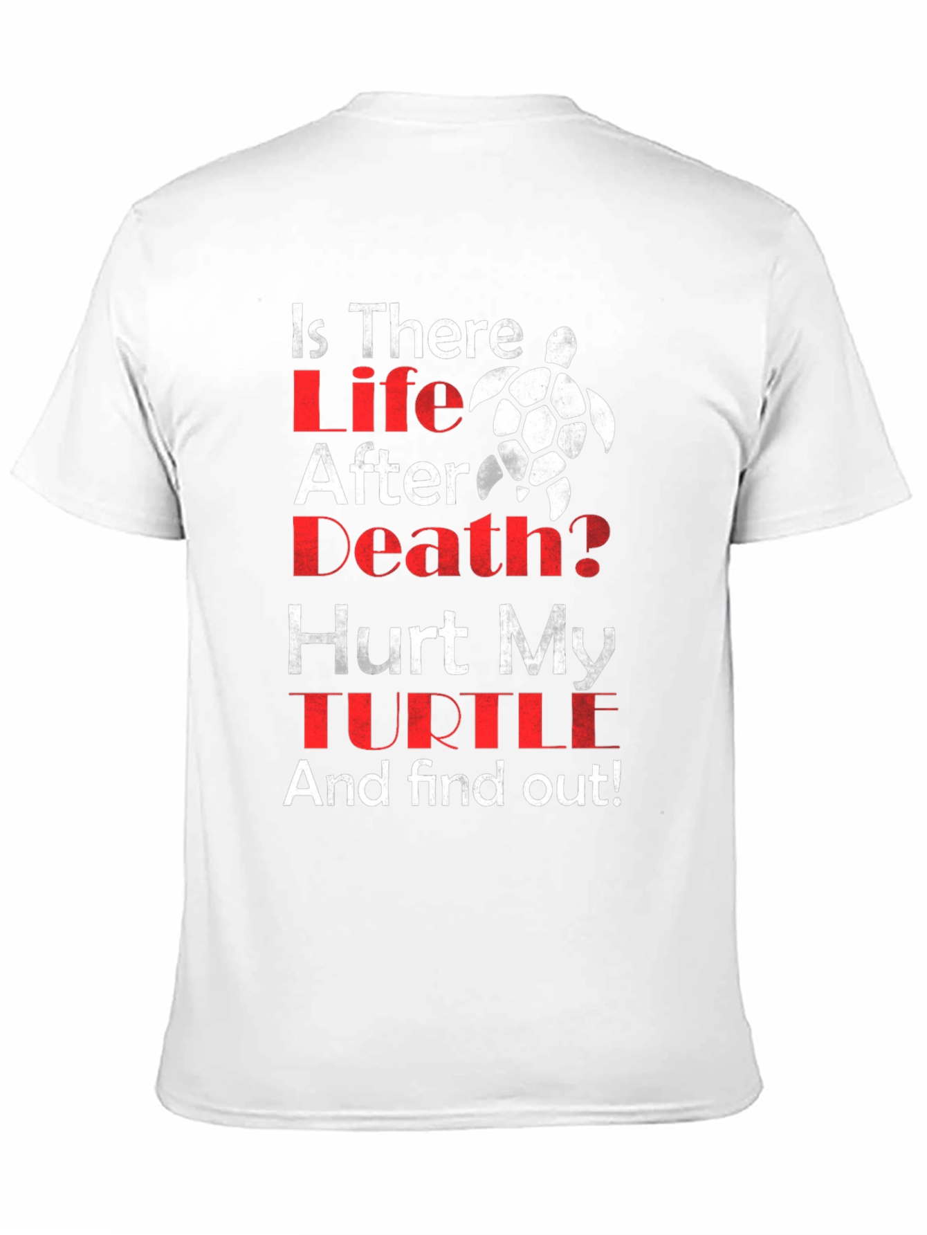 Is There Life After Death Turtle T-Shirt