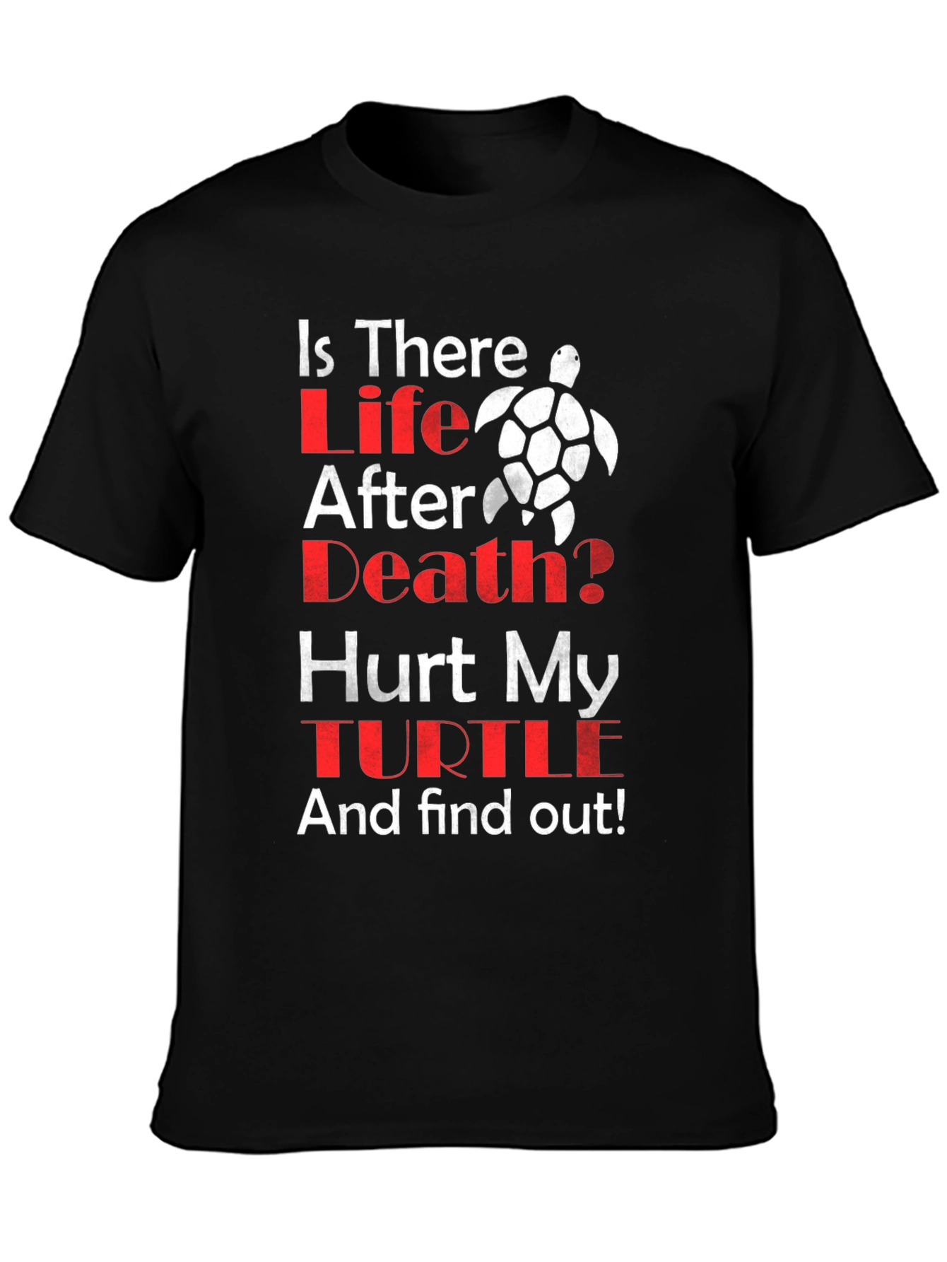 Is There Life After Death Turtle T-Shirt